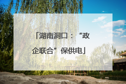 湖南洞口：“政企联合”保供电