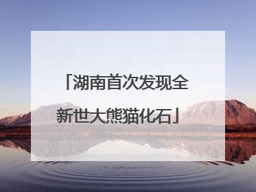 湖南首次发现全新世大熊猫化石