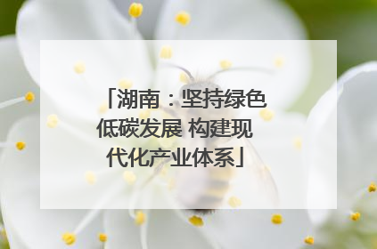 湖南：坚持绿色低碳发展 构建现代化产业体系