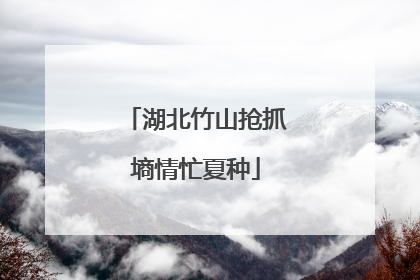 湖北竹山抢抓墒情忙夏种