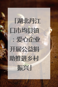 湖北丹江口市均县镇：爱心企业开展公益捐助推进乡村振兴