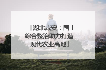 湖北咸安：国土综合整治助力打造现代农业高地