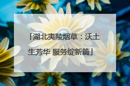 湖北夷陵烟草：沃土生芳华 服务绽新篇