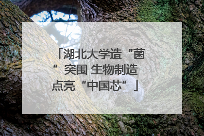 湖北大学造“菌”突围 生物制造点亮“中国芯”