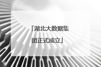 湖北大数据集团正式成立