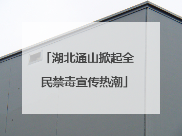 湖北通山掀起全民禁毒宣传热潮