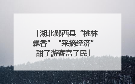 湖北郧西县“桃林飘香”“采摘经济”甜了游客富了民