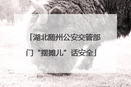 湖北随州公安交管部门“摆摊儿”话安全
