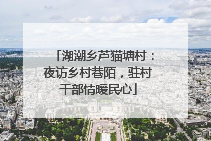湖潮乡芦猫塘村：夜访乡村巷陌，驻村干部情暖民心