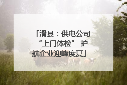 滑县：供电公司“上门体检” 护航企业迎峰度夏