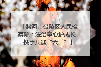 漯河市召陵区人民检察院：法治童心护成长 携手共迎“六一”