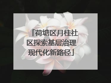 荷塘区月桂社区探索基层治理现代化新路径
