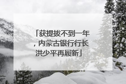 获提拔不到一年，内蒙古银行行长洪少平再履新