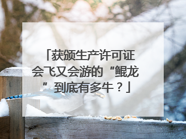 获颁生产许可证 会飞又会游的“鲲龙”到底有多牛？