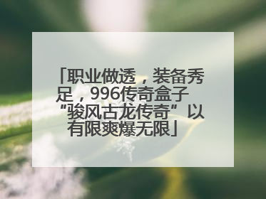 职业做透，装备秀足，996传奇盒子“骏风古龙传奇”以有限爽爆无限