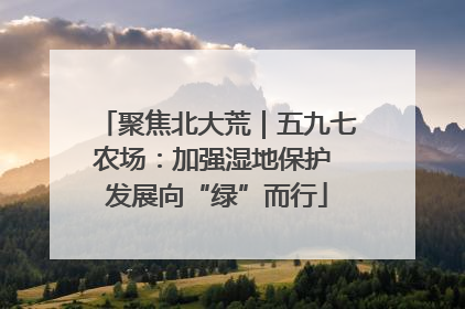 聚焦北大荒｜五九七农场：加强湿地保护 发展向“绿”而行