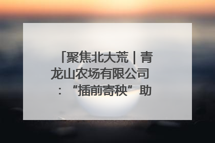 聚焦北大荒｜青龙山农场有限公司：“插前寄秧”助力农业节本增效