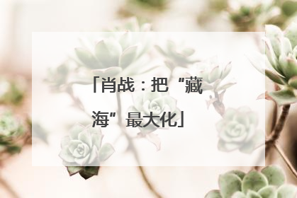 肖战：把“藏海”最大化