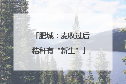 肥城：麦收过后秸秆有“新生”
