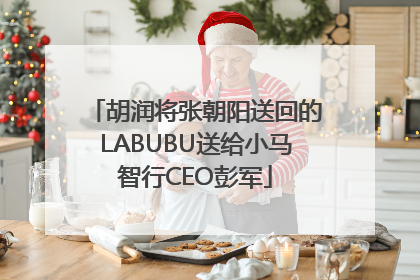 胡润将张朝阳送回的LABUBU送给小马智行CEO彭军