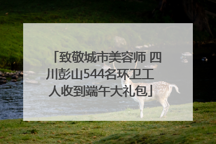 致敬城市美容师 四川彭山544名环卫工人收到端午大礼包