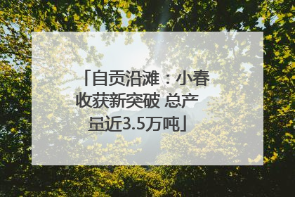 自贡沿滩：小春收获新突破 总产量近3.5万吨