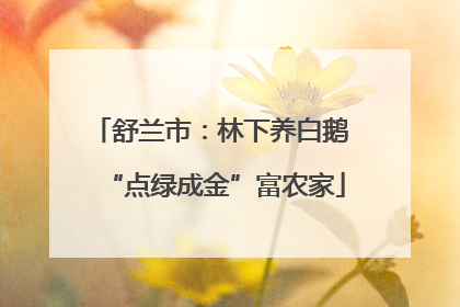 舒兰市：林下养白鹅 “点绿成金”富农家