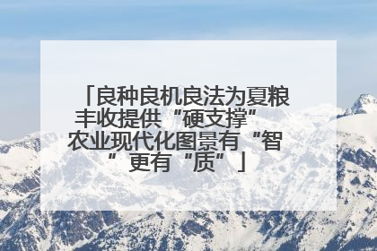 良种良机良法为夏粮丰收提供“硬支撑” 农业现代化图景有“智”更有“质”