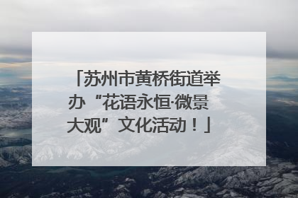 苏州市黄桥街道举办“花语永恒·微景大观”文化活动！