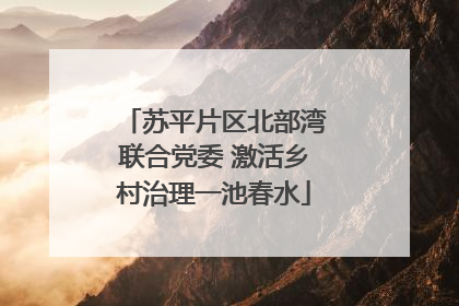 苏平片区北部湾联合党委 激活乡村治理一池春水