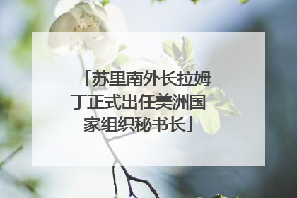 苏里南外长拉姆丁正式出任美洲国家组织秘书长