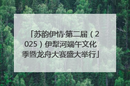 苏韵伊情·第二届（2025）伊犁河端午文化季暨龙舟大赛盛大举行