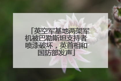 英空军基地两架军机被巴勒斯坦支持者喷漆破坏，英首相和国防部发声