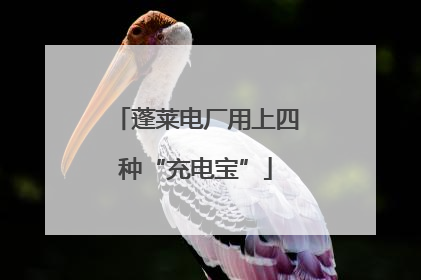 蓬莱电厂用上四种“充电宝”