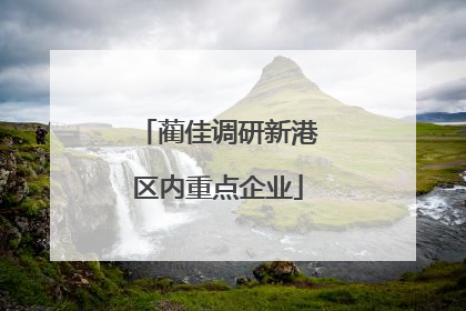 蔺佳调研新港区内重点企业
