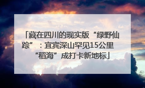 藏在四川的现实版“绿野仙踪”：宜宾深山罕见15公里“稻海”成打卡新地标