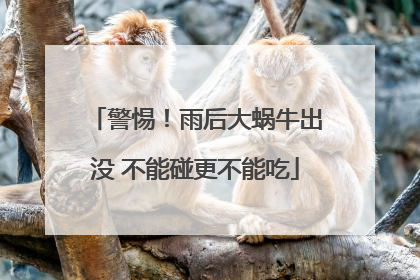 警惕！雨后大蜗牛出没 不能碰更不能吃