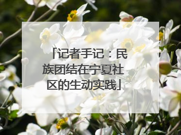 记者手记：民族团结在宁夏社区的生动实践