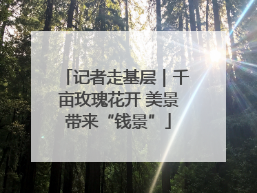 记者走基层｜千亩玫瑰花开 美景带来“钱景”
