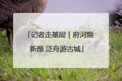 记者走基层｜府河焕新颜 泛舟游古城