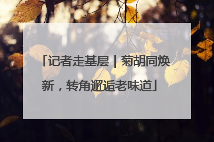 记者走基层｜菊胡同焕新，转角邂逅老味道