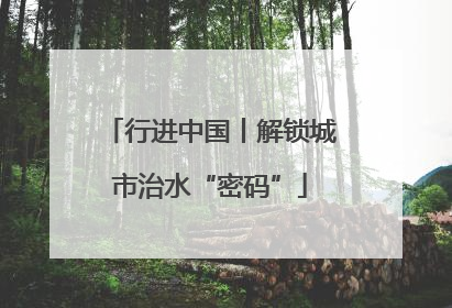 行进中国丨解锁城市治水“密码”