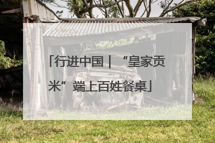 行进中国｜“皇家贡米”端上百姓餐桌