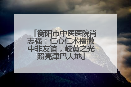 衡阳市中医医院肖志强：仁心仁术播撒中非友谊，岐黄之光照亮津巴大地