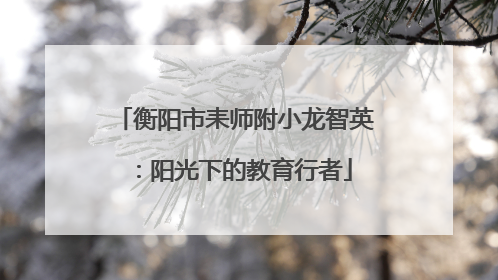 衡阳市耒师附小龙智英：阳光下的教育行者