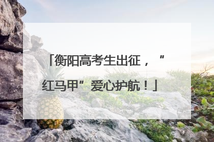 衡阳高考生出征，“红马甲”爱心护航！