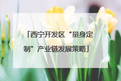 西宁开发区“量身定制”产业链发展策略