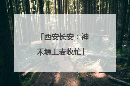 西安长安：神禾塬上麦收忙