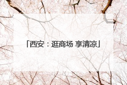 西安：逛商场 享清凉