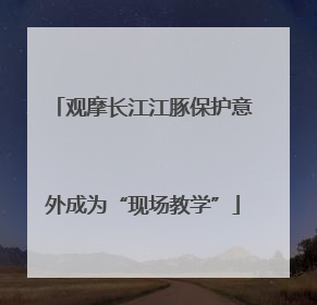 观摩长江江豚保护意外成为“现场教学”
